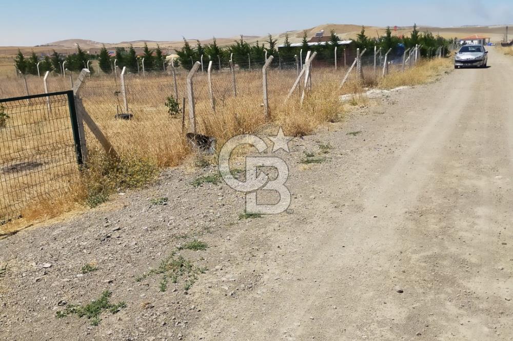 ANKARA GÖLBAŞI SOĞULCAK'TA TARLA FIRSATI