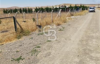 ANKARA GÖLBAŞI SOĞULCAK'TA TARLA FIRSATI