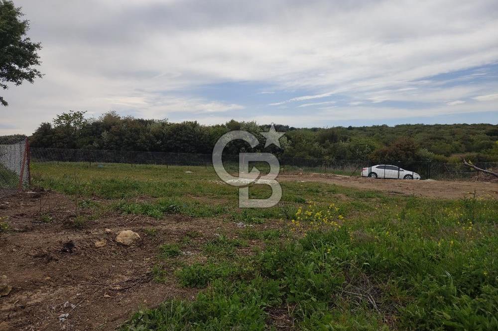 ÇANAKKALE LAPSEKİ KANGIRLI'DA SATILIK ARSA 