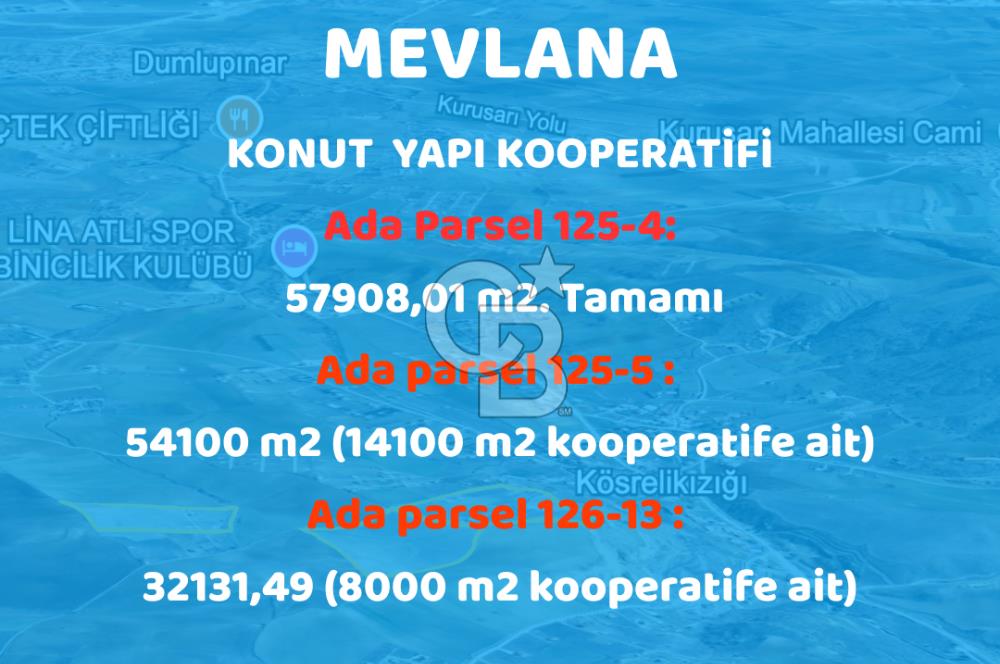 PURSAKLAR KÖSRELİK KIZIĞI KOOPERATİF HİSSESİ SATILIK