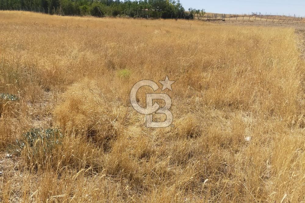 ANKARA GÖLBAŞINDA MAHMATLIBAHÇE DE 2506 m2 SATILIK TARLA