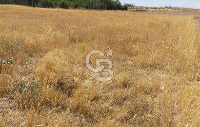 ANKARA GÖLBAŞINDA MAHMATLIBAHÇE DE 2506 m2 SATILIK TARLA