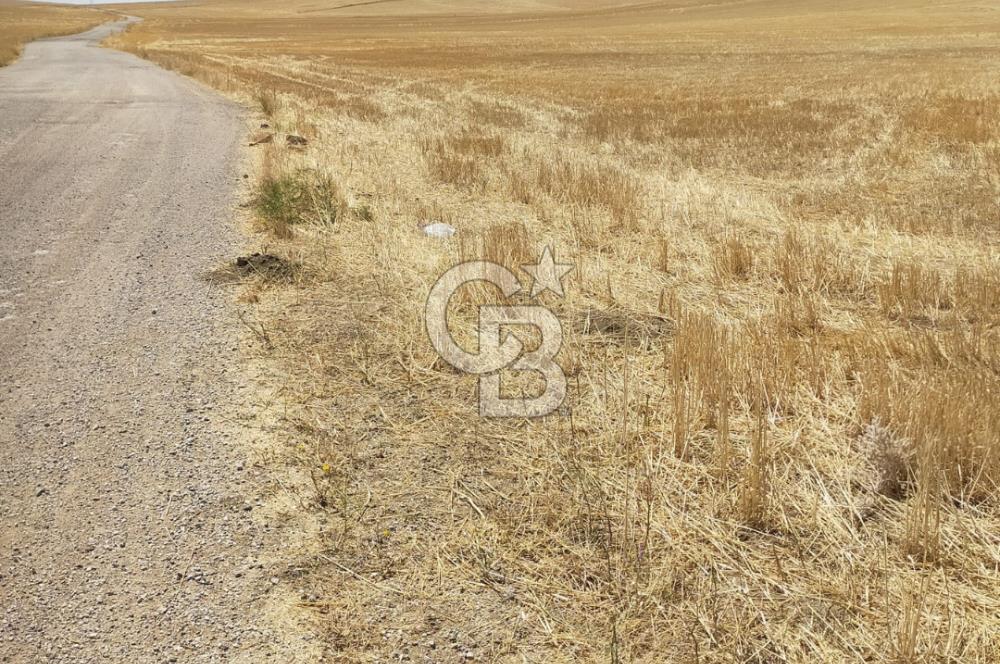  GÖLBAŞI BEZİRHANE MAHALLESİ'NDE FIRSAT TARLA