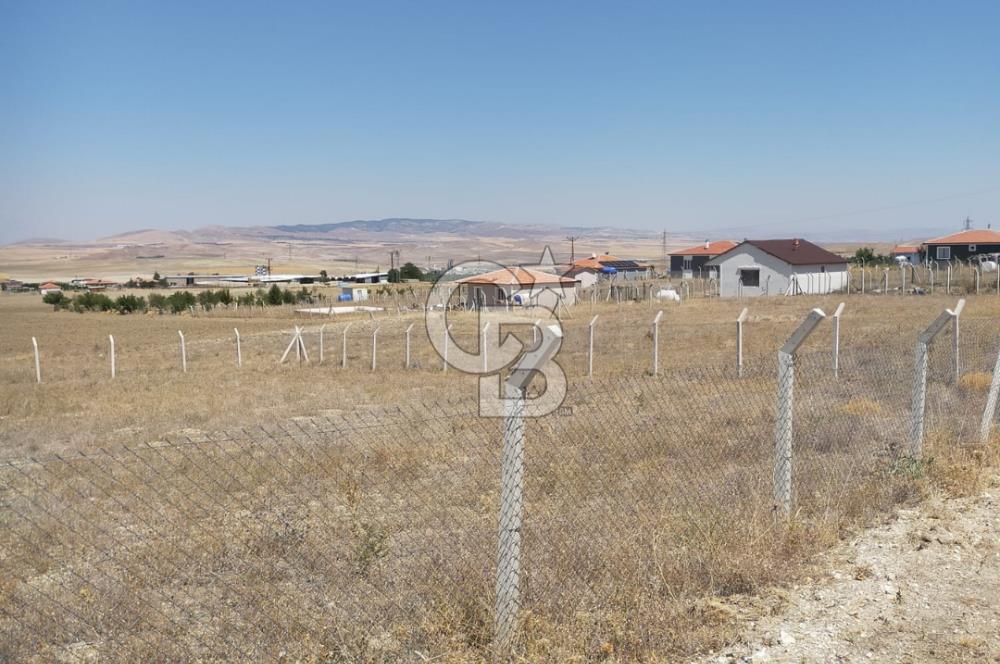 ANKARA GÖLBAŞI SOĞULCAK'TA KÖYE YAKIN TARLA FIRSATI
