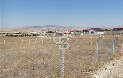 ANKARA GÖLBAŞI SOĞULCAK'TA KÖYE YAKIN TARLA FIRSATI