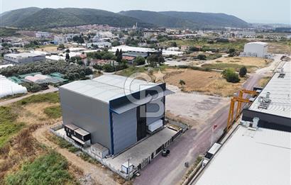 YALOVA ALTINOVA TAVŞANLI SATILIK FABRİKA HANGAR! 706 M2 H:20M