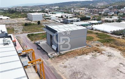 YALOVA ALTINOVA TAVŞANLI SATILIK FABRİKA HANGAR! 706 M2 H:20M