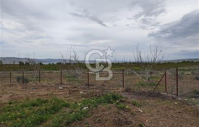 ÇANAKKALE LAPSEKİ KANGIRLI'DA SATILIK ARSA 