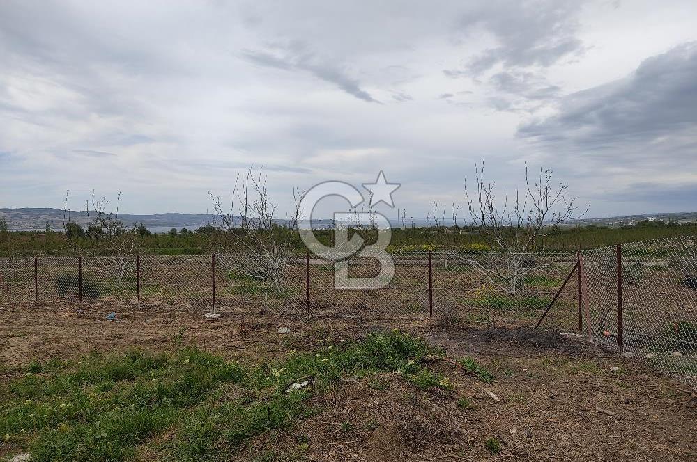 ÇANAKKALE LAPSEKİ KANGIRLI'DA SATILIK ARSA 