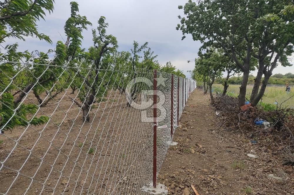ÇANAKKALE LAPSEKİ KANGIRLI'DA SATILIK ARSA 