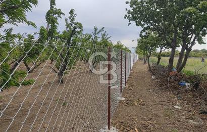 ÇANAKKALE LAPSEKİ KANGIRLI'DA SATILIK ARSA 