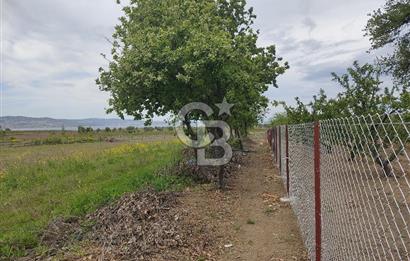 ÇANAKKALE LAPSEKİ KANGIRLI'DA SATILIK ARSA 