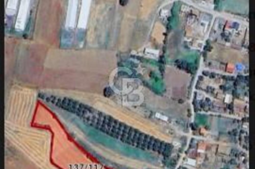 ÇANAKKALE BİGA'DA İMAR SINIRINDA YATIRIMLIK ARSA