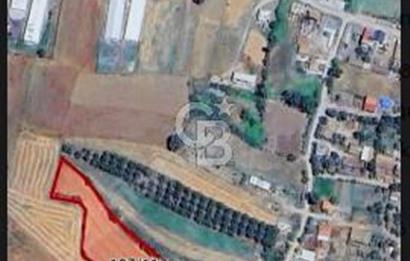 ÇANAKKALE BİGA'DA İMAR SINIRINDA YATIRIMLIK ARSA