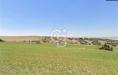 ŞEHİTALİ MH'DE/TOKİ YAPILAŞMA ALANI YAKININDA/YATIRIM FIRSATI/7363 M2 TARLA!