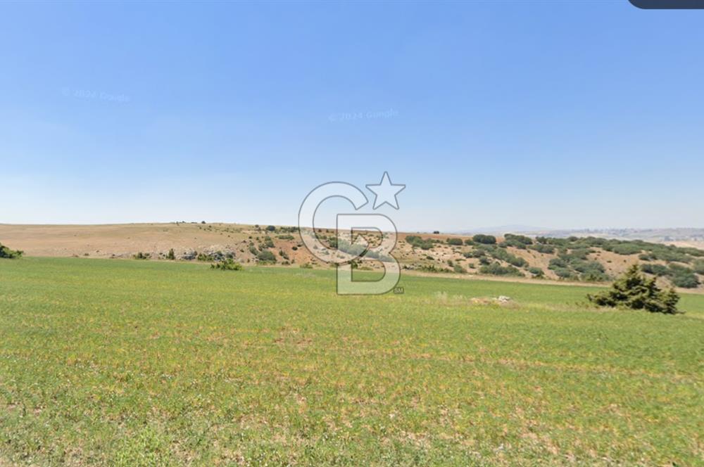 ŞEHİTALİ MH'DE/TOKİ YAPILAŞMA ALANI YAKININDA/YATIRIM FIRSATI/7363 M2 TARLA!