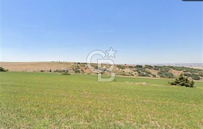 ŞEHİTALİ MH'DE/TOKİ YAPILAŞMA ALANI YAKININDA/YATIRIM FIRSATI/7363 M2 TARLA!
