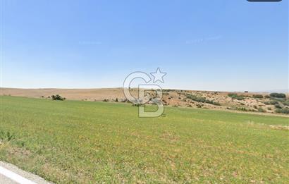 ŞEHİTALİ MH'DE/TOKİ YAPILAŞMA ALANI YAKININDA/YATIRIM FIRSATI/7363 M2 TARLA!