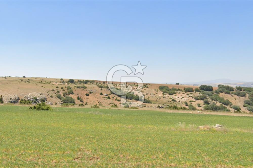 ŞEHİTALİ MH'DE/TOKİ YAPILAŞMA ALANI YAKININDA/YATIRIM FIRSATI/7363 M2 TARLA!