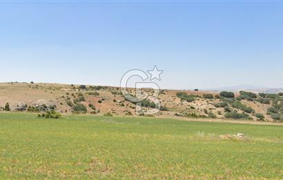 ŞEHİTALİ MH'DE/TOKİ YAPILAŞMA ALANI YAKININDA/YATIRIM FIRSATI/7363 M2 TARLA!