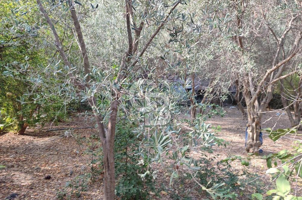 YAYLICA MAHALLESİ SATILIK ARSA 