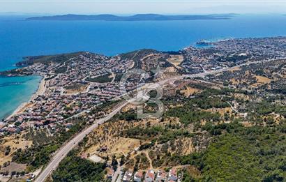 Mordoğan Ardıç Plajı Manzaralı Satılık 2 Parsel Tarla