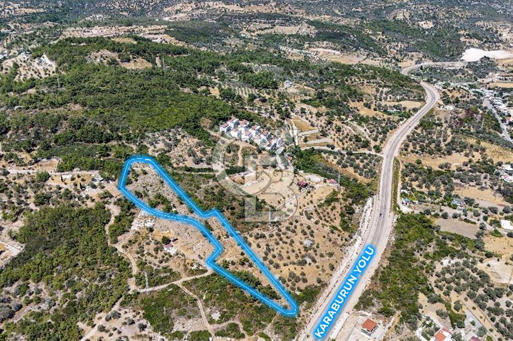 Mordoğan Ardıç Plajı Manzaralı Satılık 2 Parsel Tarla