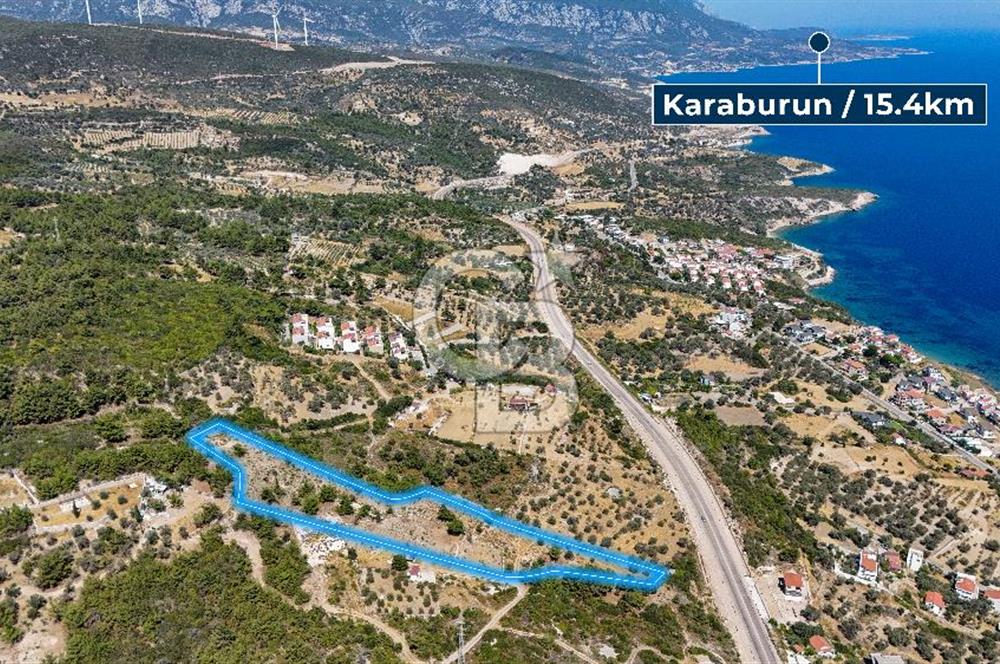 Mordoğan Ardıç Plajı Manzaralı Satılık 2 Parsel Tarla