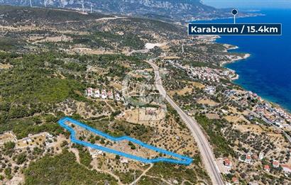 Mordoğan Ardıç Plajı Manzaralı Satılık 2 Parsel Tarla