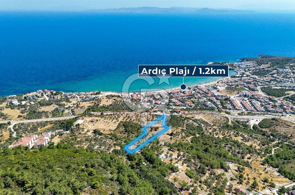 Mordoğan Ardıç Plajı Manzaralı Satılık 2 Parsel Tarla