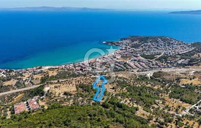 Mordoğan Ardıç Plajı Manzaralı Satılık 2 Parsel Tarla