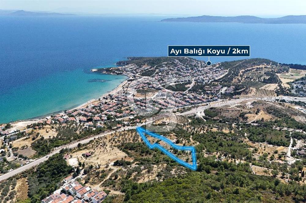 Mordoğan Ardıç Plajı Manzaralı Satılık 2 Parsel Tarla