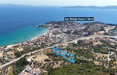 Mordoğan Ardıç Plajı Manzaralı Satılık 2 Parsel Tarla