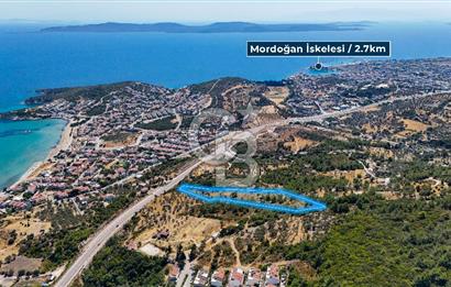 Mordoğan Ardıç Plajı Manzaralı Satılık 2 Parsel Tarla