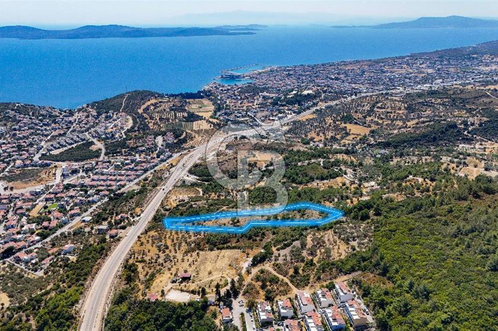 Mordoğan Ardıç Plajı Manzaralı Satılık 2 Parsel Tarla