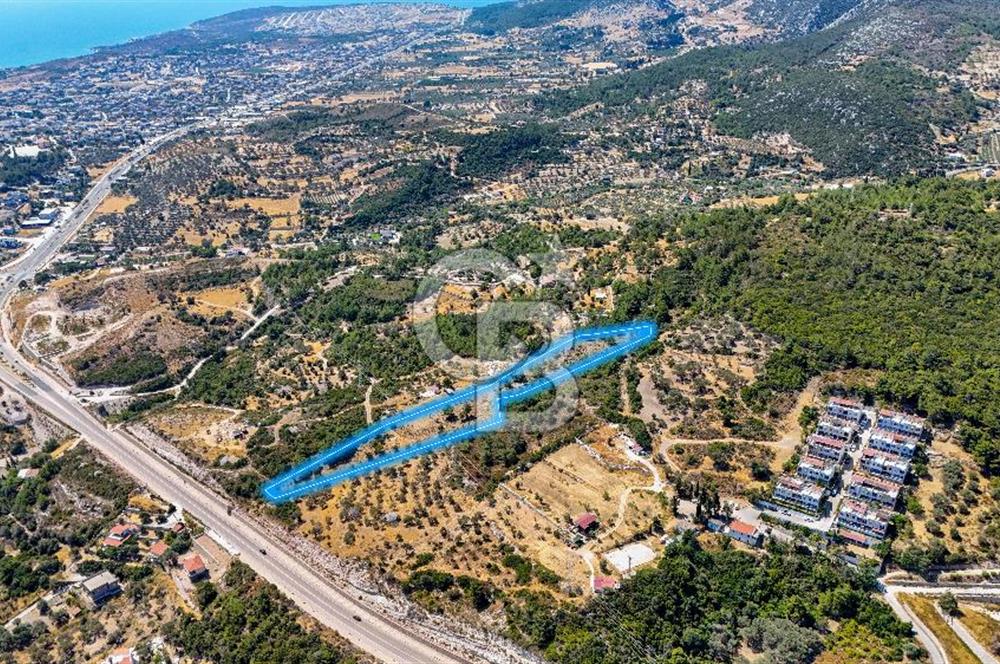 Mordoğan Ardıç Plajı Manzaralı Satılık 2 Parsel Tarla