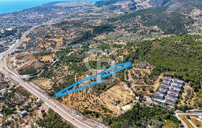Mordoğan Ardıç Plajı Manzaralı Satılık 2 Parsel Tarla