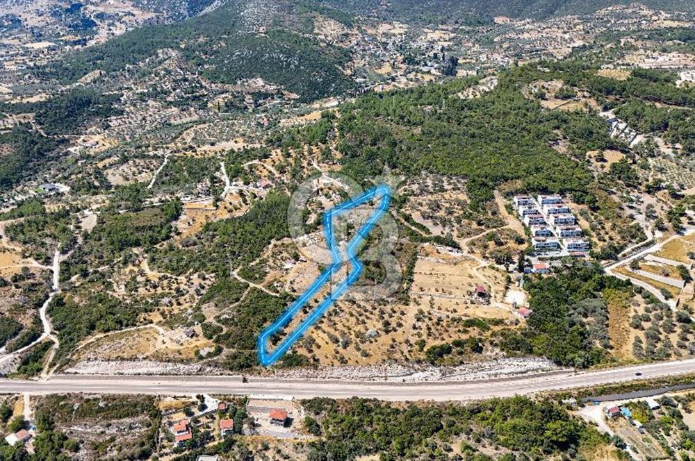 Mordoğan Ardıç Plajı Manzaralı Satılık 2 Parsel Tarla