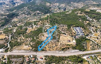 Mordoğan Ardıç Plajı Manzaralı Satılık 2 Parsel Tarla
