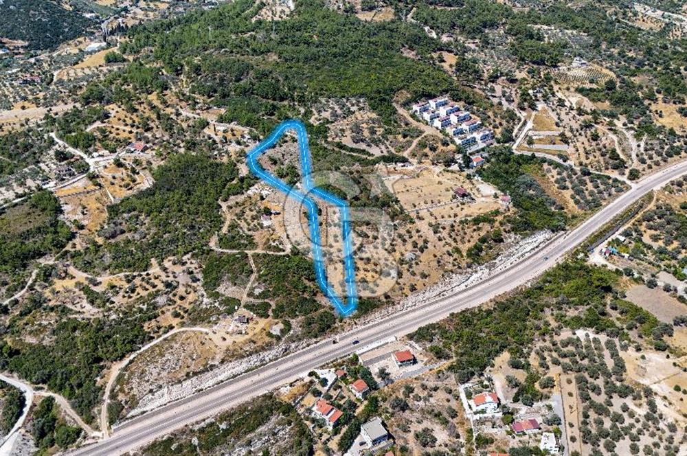 Mordoğan Ardıç Plajı Manzaralı Satılık 2 Parsel Tarla