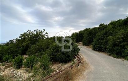 MERSİN ERDEMLİ ÇİFTEPINAR'DA SATILIK TARLA 