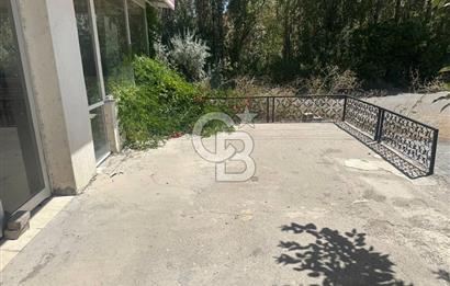 Çankaya-Alacaatlı Mah.-Alacaatlı Cad. 250 m², Kiralık Dükkan