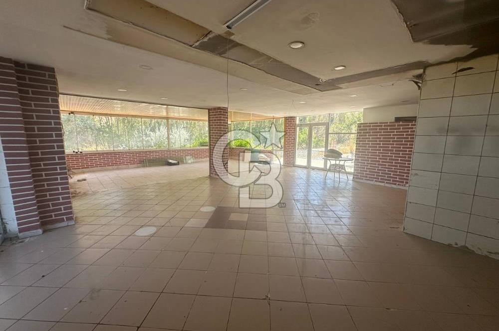 Çankaya-Alacaatlı Mah.-Alacaatlı Cad. 250 m², Kiralık Dükkan