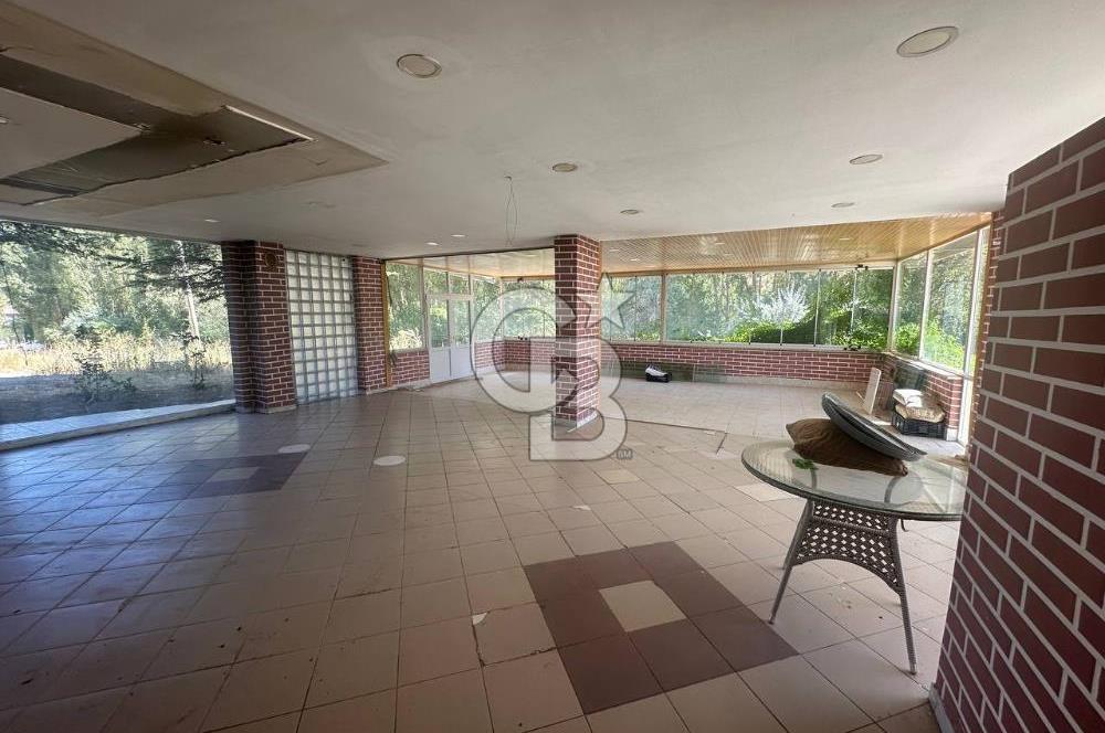 Çankaya-Alacaatlı Mah.-Alacaatlı Cad. 250 m², Kiralık Dükkan