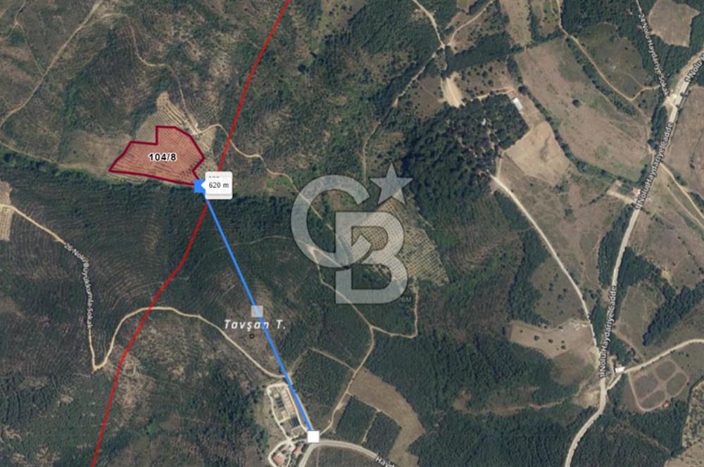 BURSA GEMLİK BÜYÜKKUMLA DA DENİZ GÖREN AVANTAJLI SATILIK TARLA
