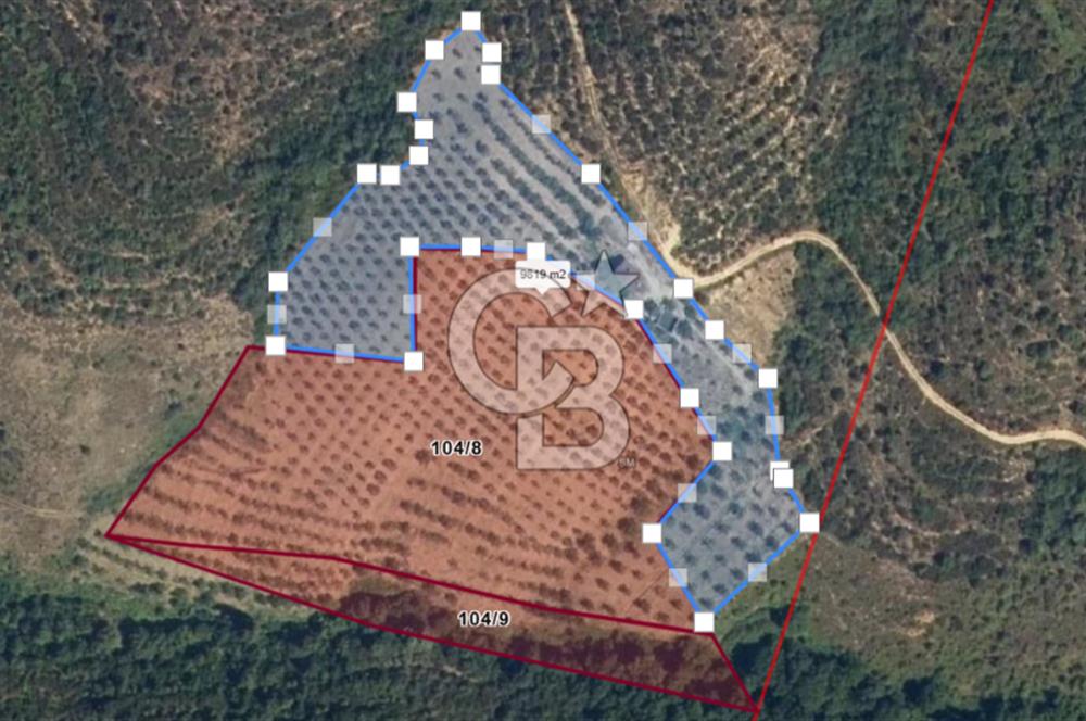 BURSA GEMLİK BÜYÜKKUMLA DA DENİZ GÖREN AVANTAJLI SATILIK TARLA