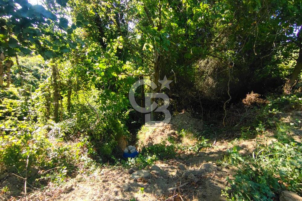 BURSA GEMLİK BÜYÜKKUMLA DA DENİZ GÖREN AVANTAJLI SATILIK TARLA