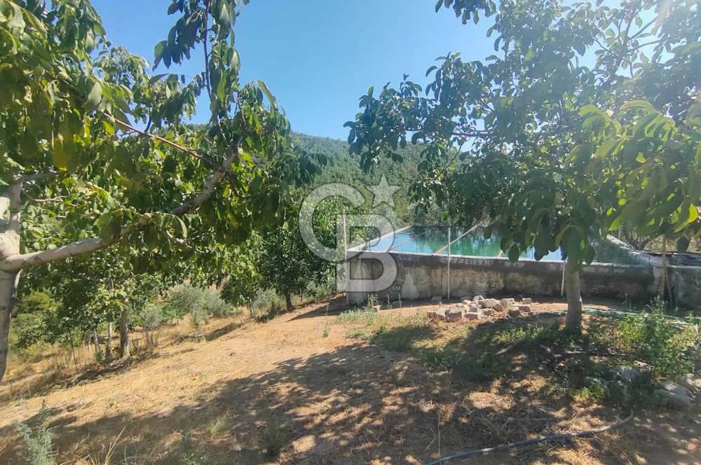 BURSA GEMLİK BÜYÜKKUMLA DA DENİZ GÖREN AVANTAJLI SATILIK TARLA