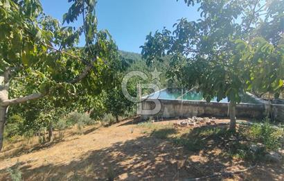 BURSA GEMLİK BÜYÜKKUMLA DA DENİZ GÖREN AVANTAJLI SATILIK TARLA
