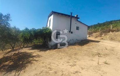 BURSA GEMLİK BÜYÜKKUMLA DA DENİZ GÖREN AVANTAJLI SATILIK TARLA